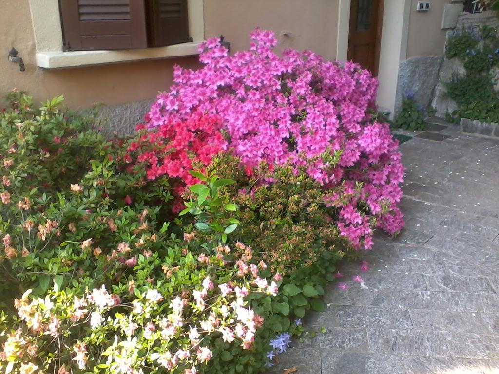 Casa Margherita Como Luaran gambar